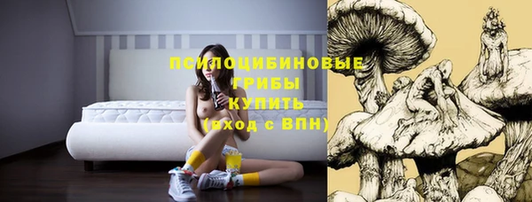 амф Снежинск