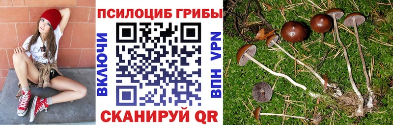 Псилоцибиновые грибы Psilocybine cubensis  Октябрьск 